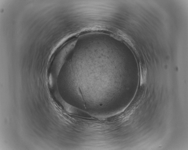 X0000070880387200606191320