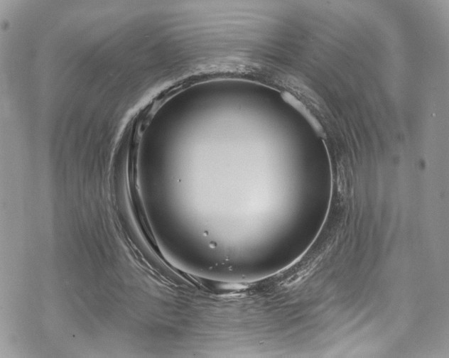 X0000070880388200606191320