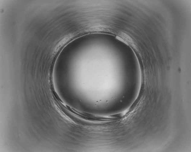 X0000070880389200606191320