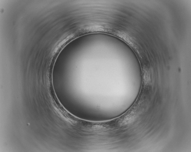 X0000070880390200606191320