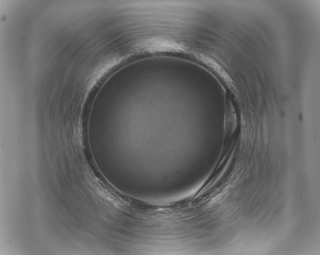 X0000070880391200606191320