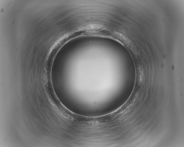 X0000070880392200606191320