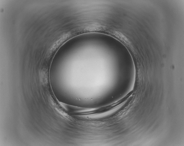 X0000070880393200606191320