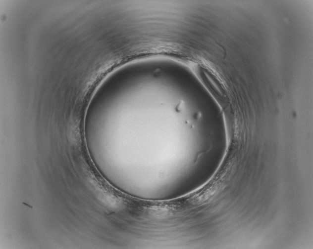 X0000070880394200606191320