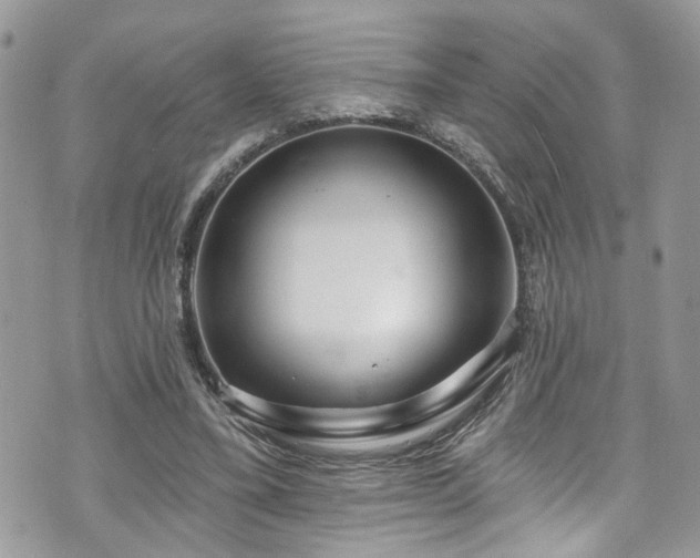 X0000070880395200606191320