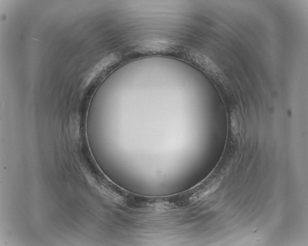 X0000070880396200606191320