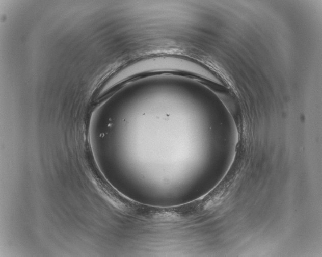 X0000070880397200606191320