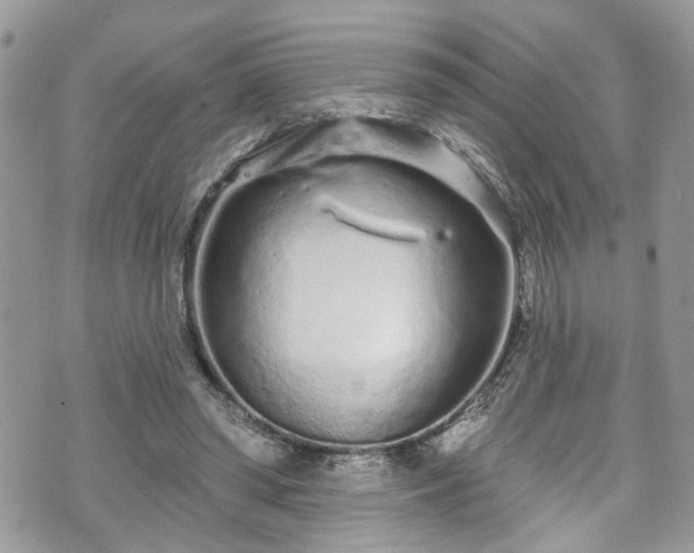 X0000070880398200606191320