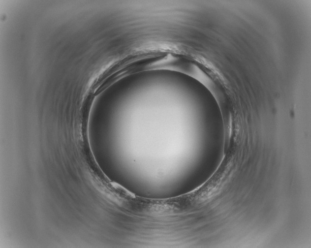 X0000070880399200606191320