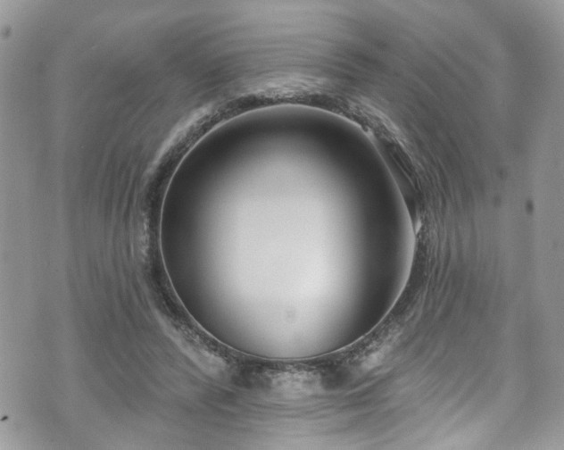 X0000070880400200606191320