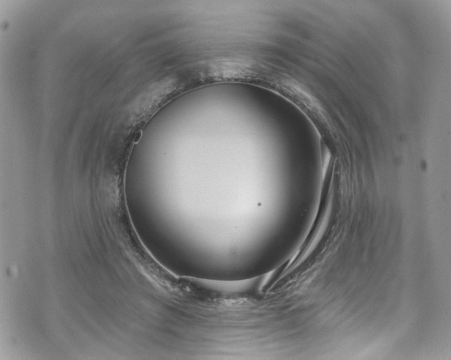 X0000070880401200606191320