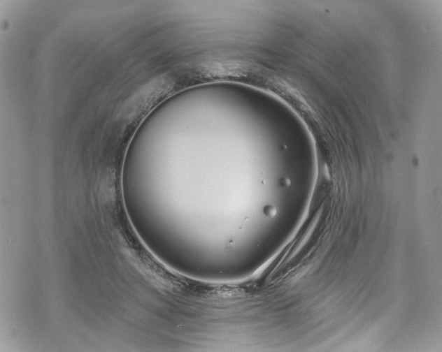 X0000070880402200606191320