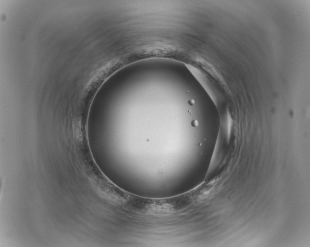 X0000070880403200606191320