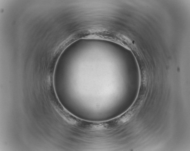 X0000070880405200606191320