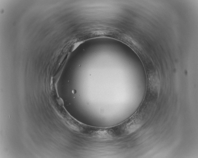 X0000070880406200606191320