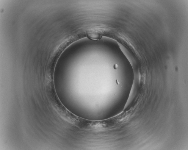 X0000070880407200606191320