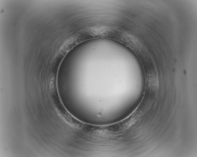 X0000070880408200606191320