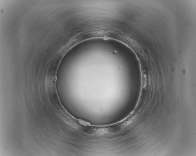 X0000070880409200606191320