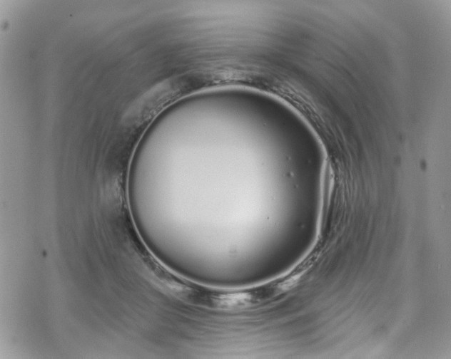 X0000070880410200606191320