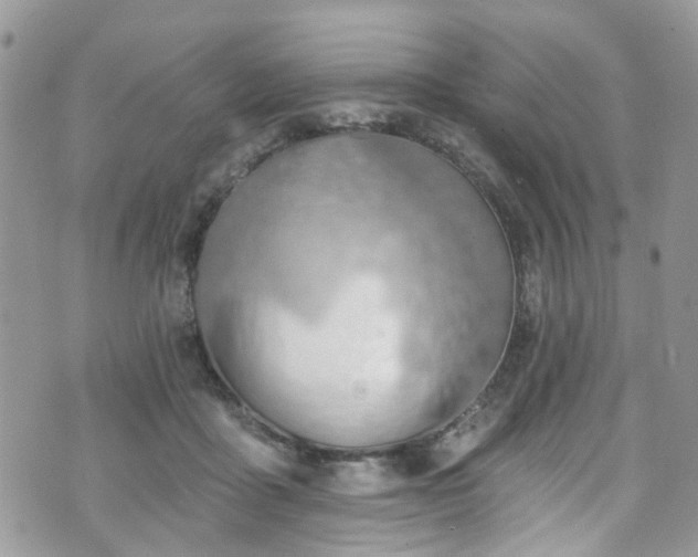 X0000070880411200606191320