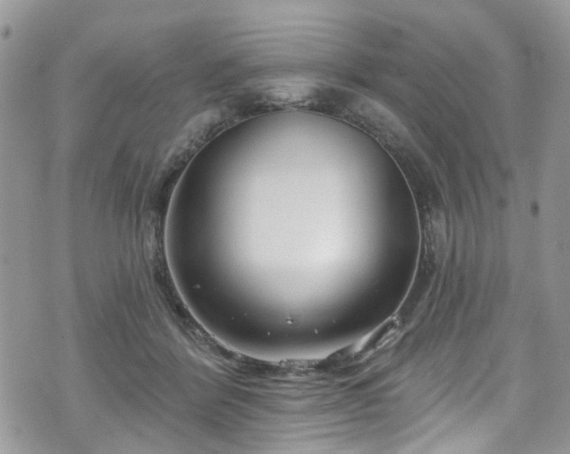 X0000070880412200606191320