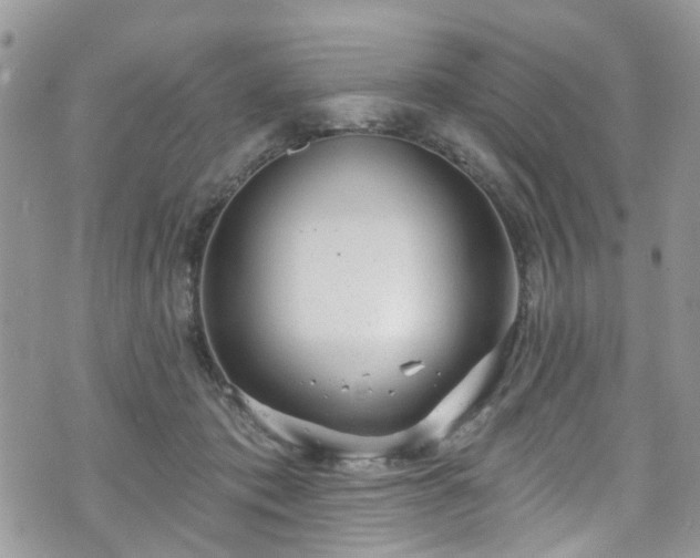 X0000070880413200606191320