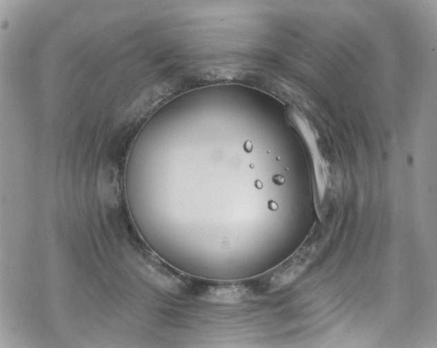 X0000070880414200606191320