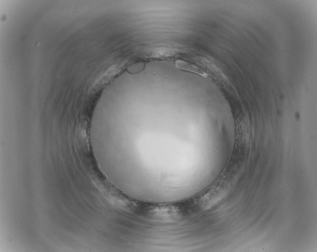 X0000070880415200606191320