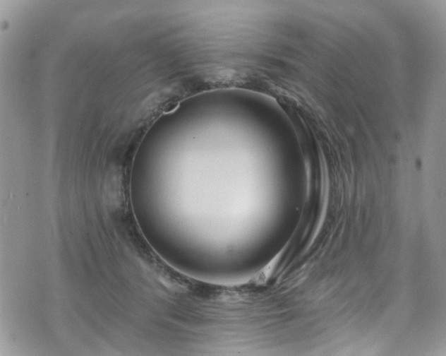 X0000070880416200606191320