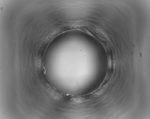 X0000070880417200606191320