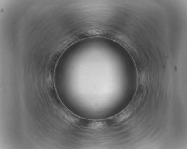 X0000070880418200606191320