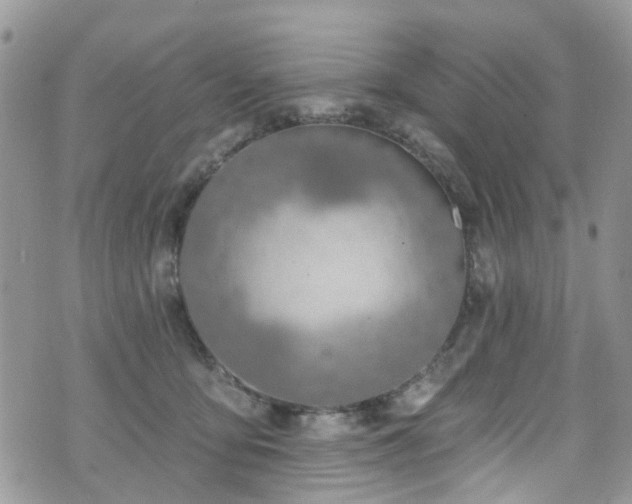 X0000070880419200606191320