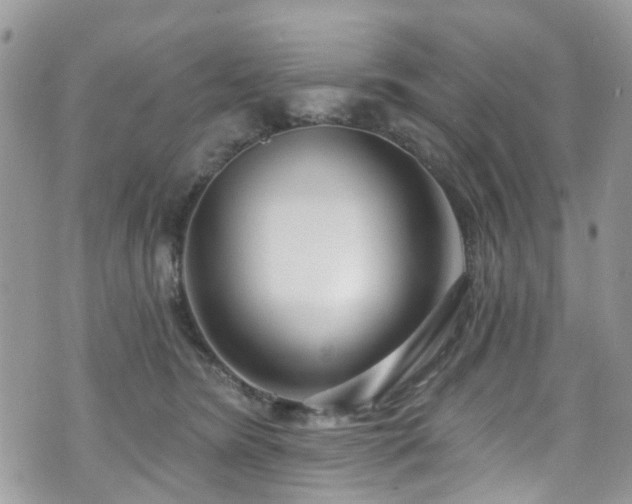 X0000070880420200606191320