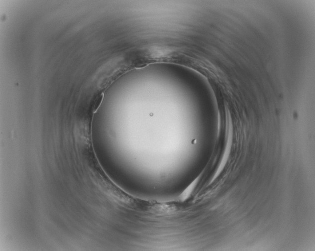 X0000070880421200606191320