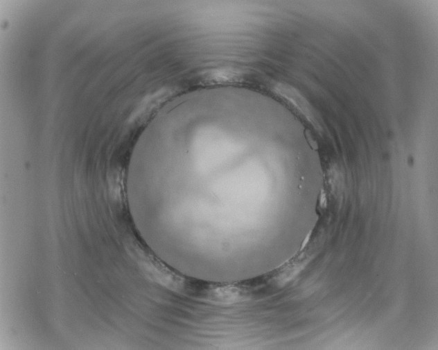 X0000070880423200606191320