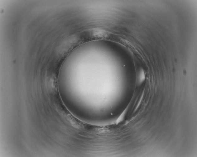 X0000070880424200606191320