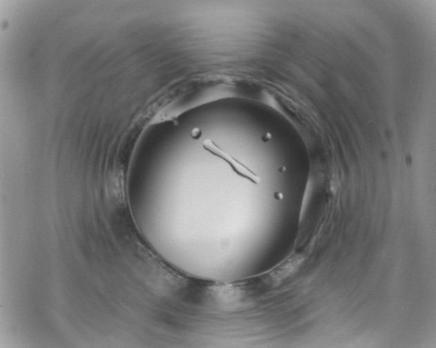 X0000070880425200606191320