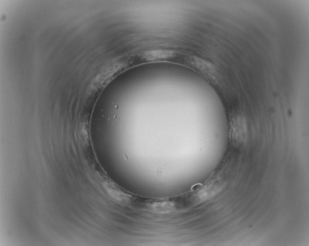 X0000070880426200606191320