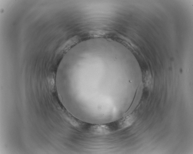 X0000070880427200606191320