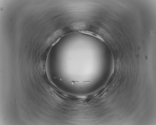 X0000070880428200606191320