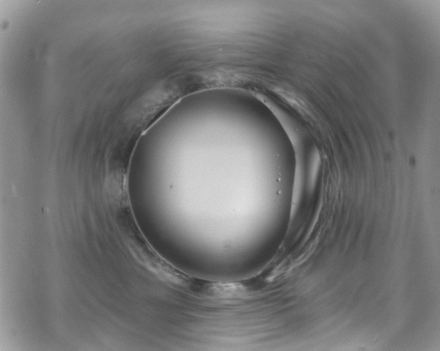 X0000070880429200606191320