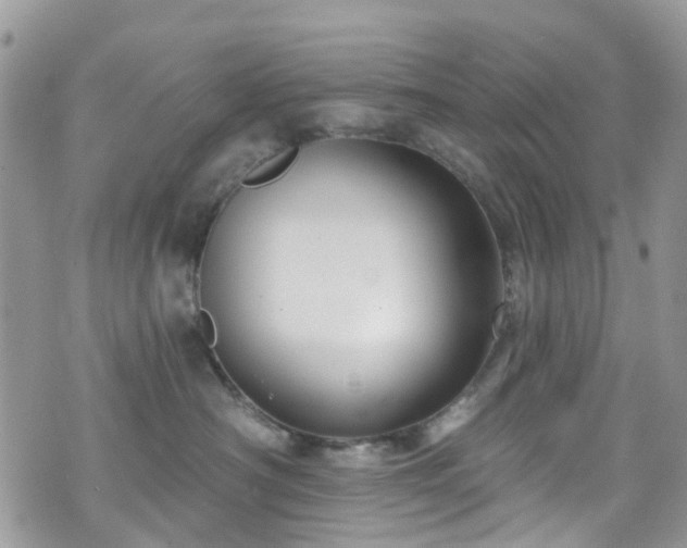 X0000070880430200606191320