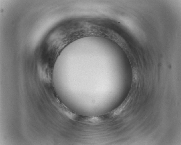 X0000070880431200606191320