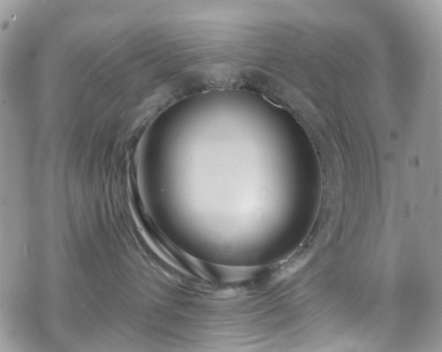 X0000070880432200606191320