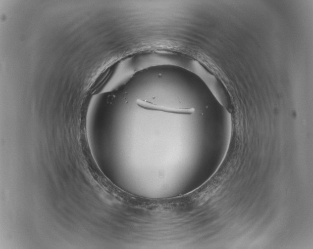 X0000070880434200606191319