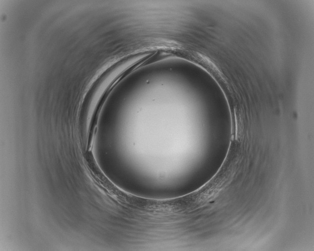 X0000070880435200606191319