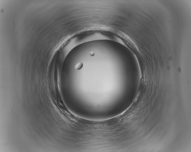 X0000070880436200606191319