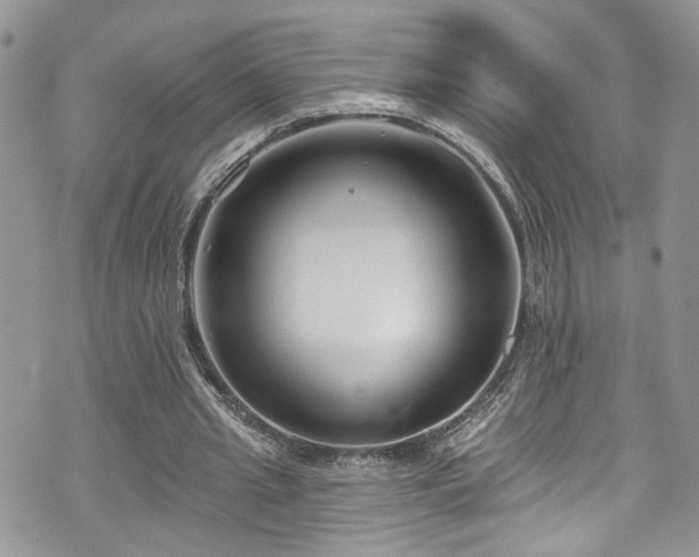 X0000070880437200606191319