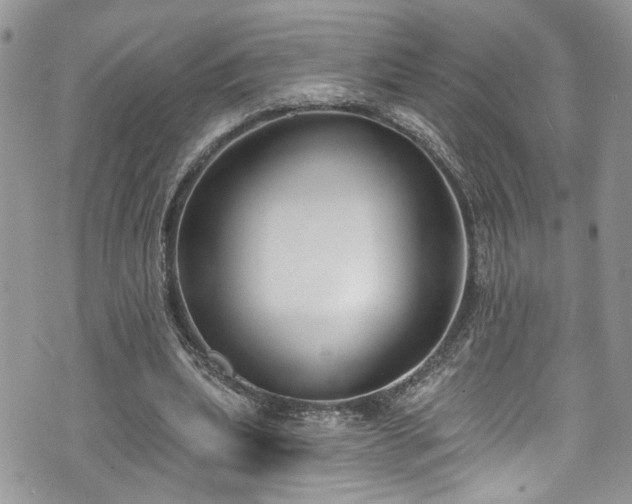 X0000070880439200606191319