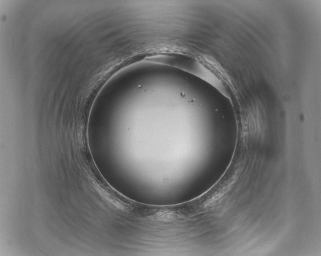 X0000070880441200606191319